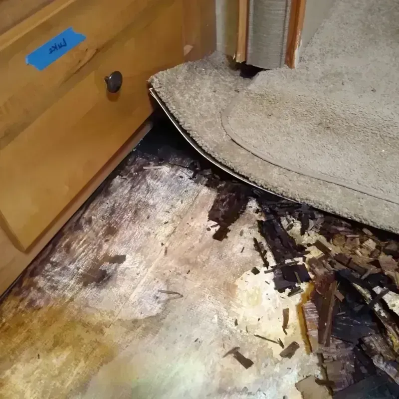 Best Wood Floor Water Damage Service in Eutaw, AL